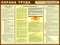 Модуль 4. Обучение безопасности труда. Виды инструктажей (размер_100x75см)